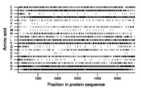 amino acid map