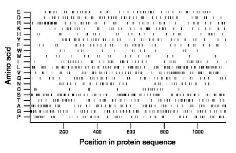 amino acid map