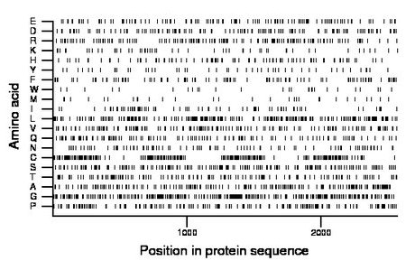 amino acid map