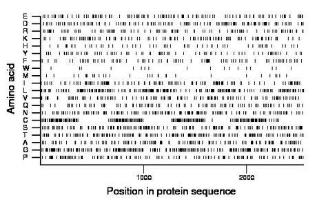 amino acid map