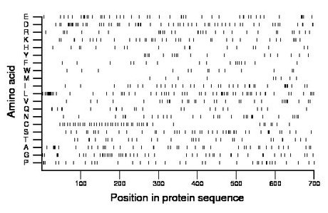 amino acid map