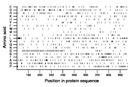 amino acid map