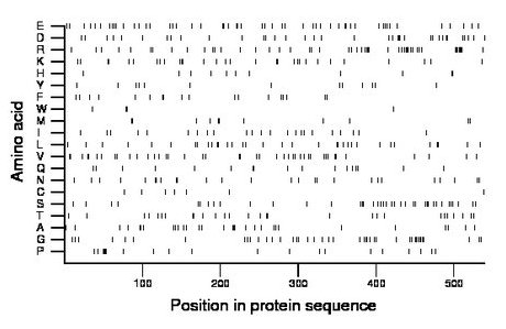 amino acid map