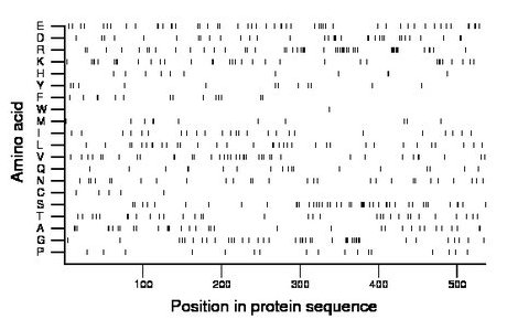 amino acid map