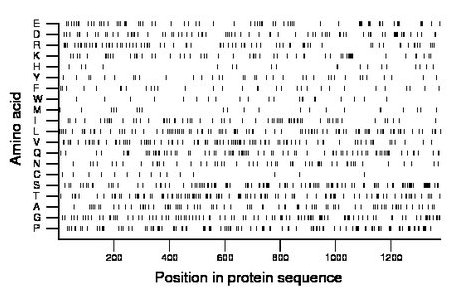 amino acid map