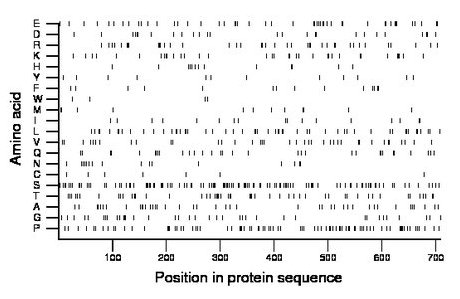 amino acid map