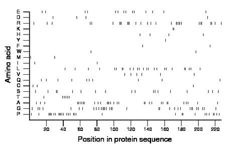 amino acid map