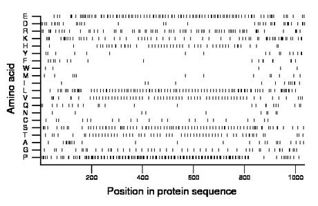 amino acid map