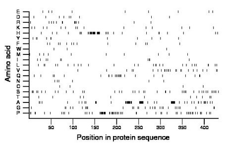 amino acid map