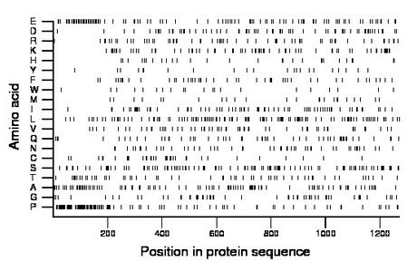 amino acid map