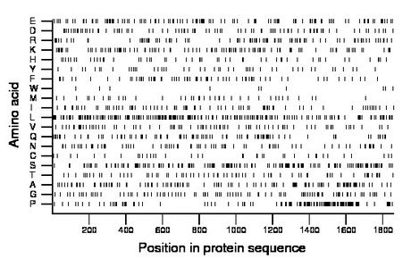 amino acid map