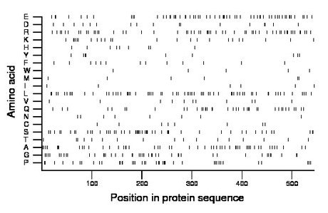 amino acid map