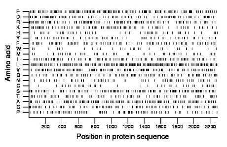 amino acid map