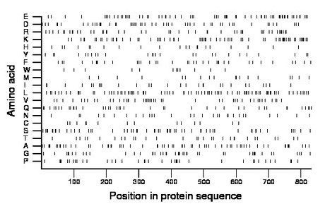 amino acid map