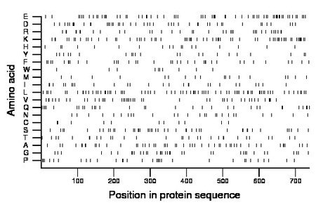 amino acid map