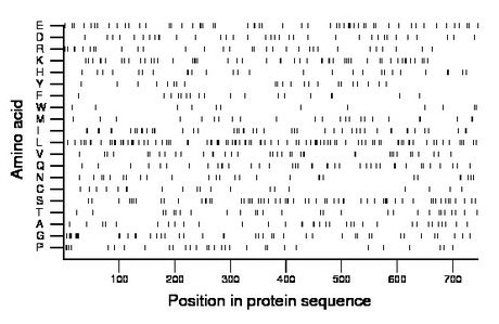 amino acid map