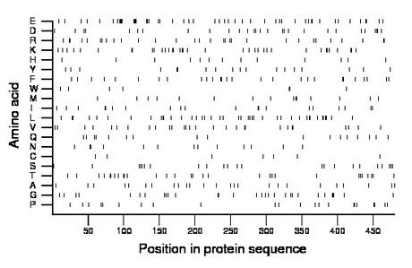 amino acid map