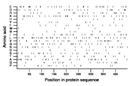 amino acid map