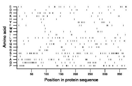 amino acid map