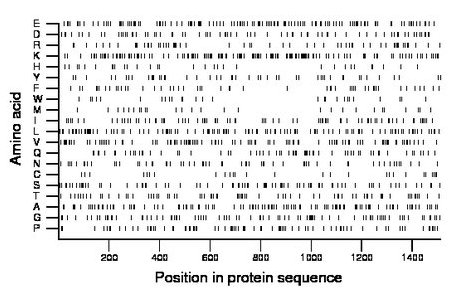 amino acid map