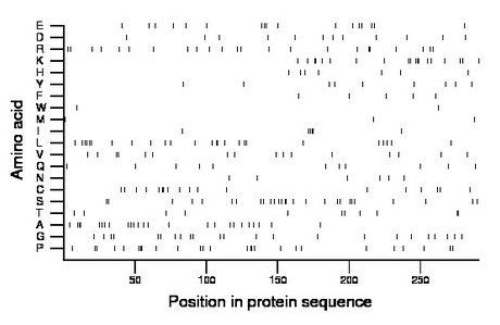 amino acid map