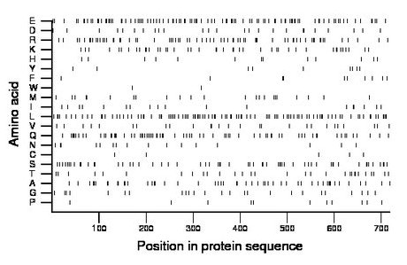 amino acid map