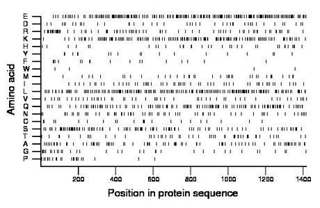 amino acid map