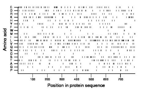 amino acid map