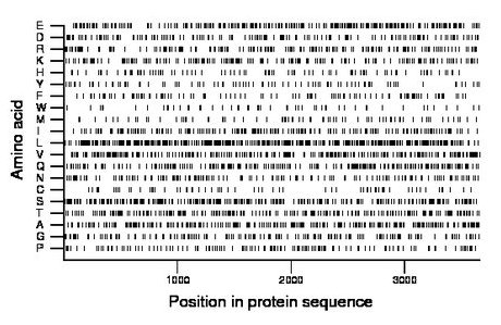 amino acid map