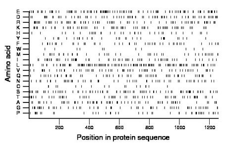 amino acid map