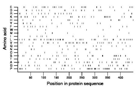 amino acid map