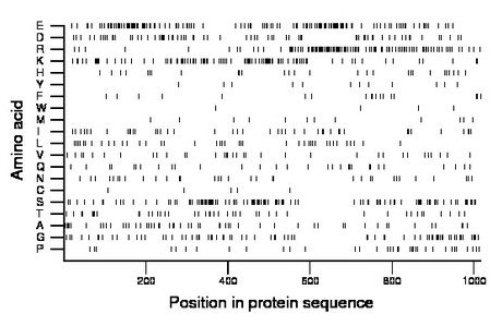 amino acid map