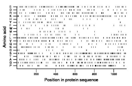 amino acid map