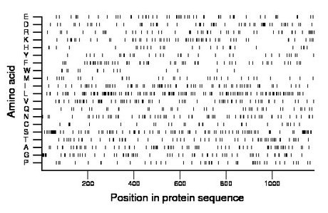 amino acid map