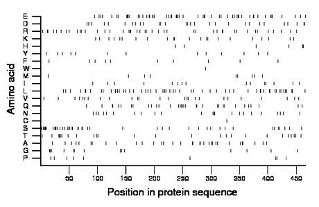 amino acid map