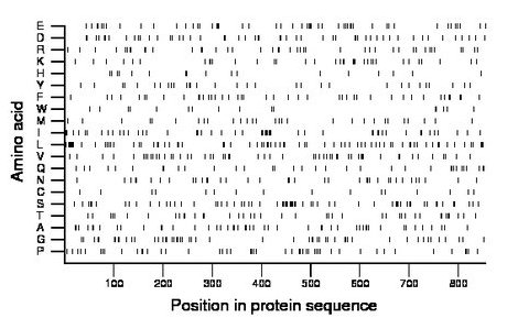 amino acid map