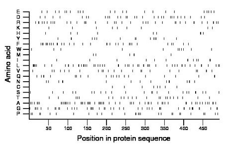 amino acid map