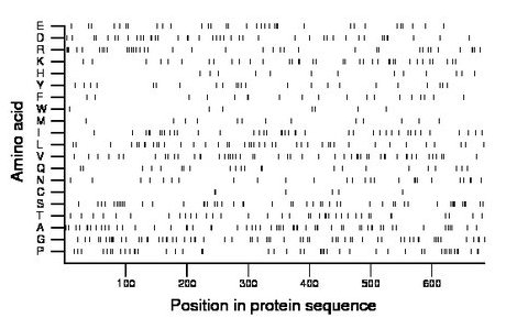 amino acid map