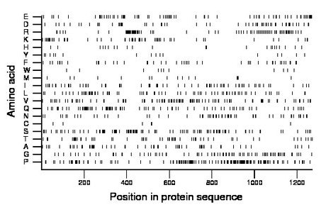 amino acid map