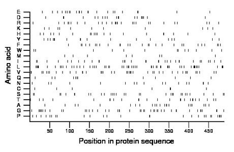 amino acid map