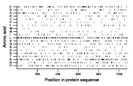 amino acid map