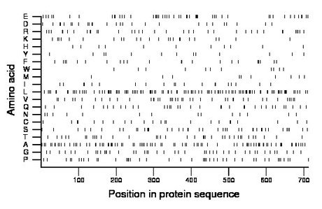 amino acid map