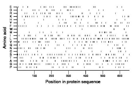 amino acid map