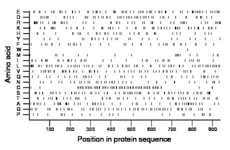 amino acid map