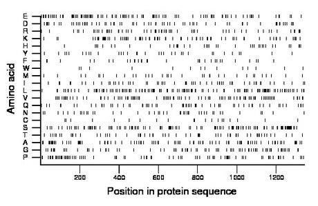 amino acid map