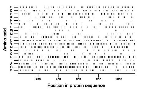 amino acid map