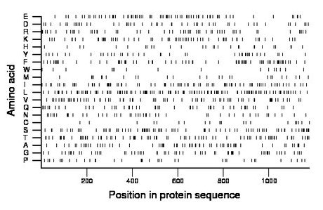 amino acid map