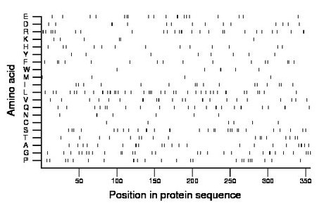 amino acid map