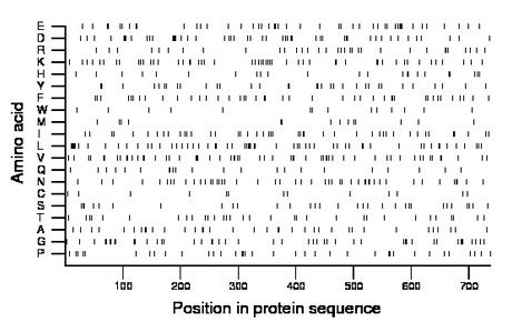 amino acid map