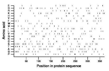 amino acid map